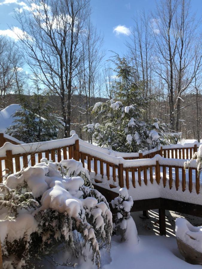 Black River Crossing Bed & Breakfast Bessemer Екстериор снимка