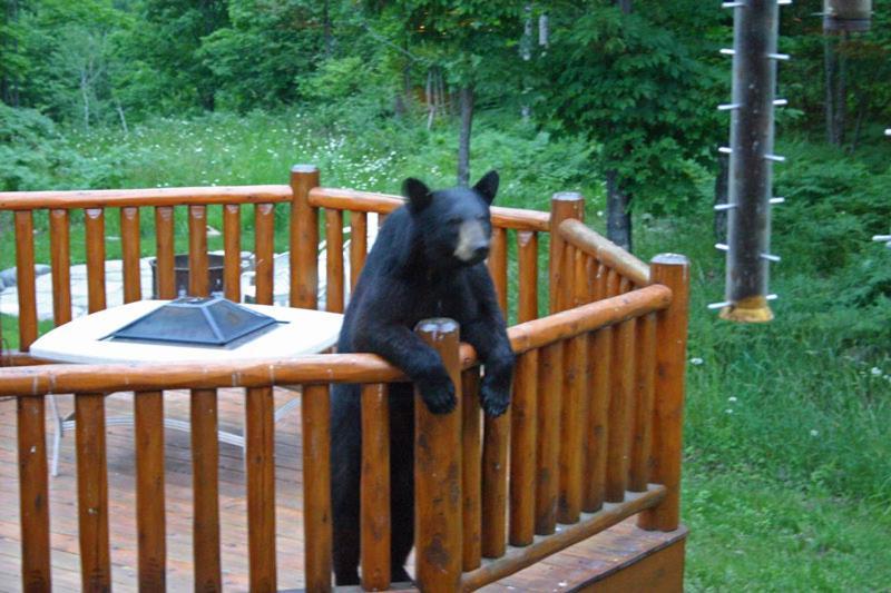 Black River Crossing Bed & Breakfast Bessemer Екстериор снимка
