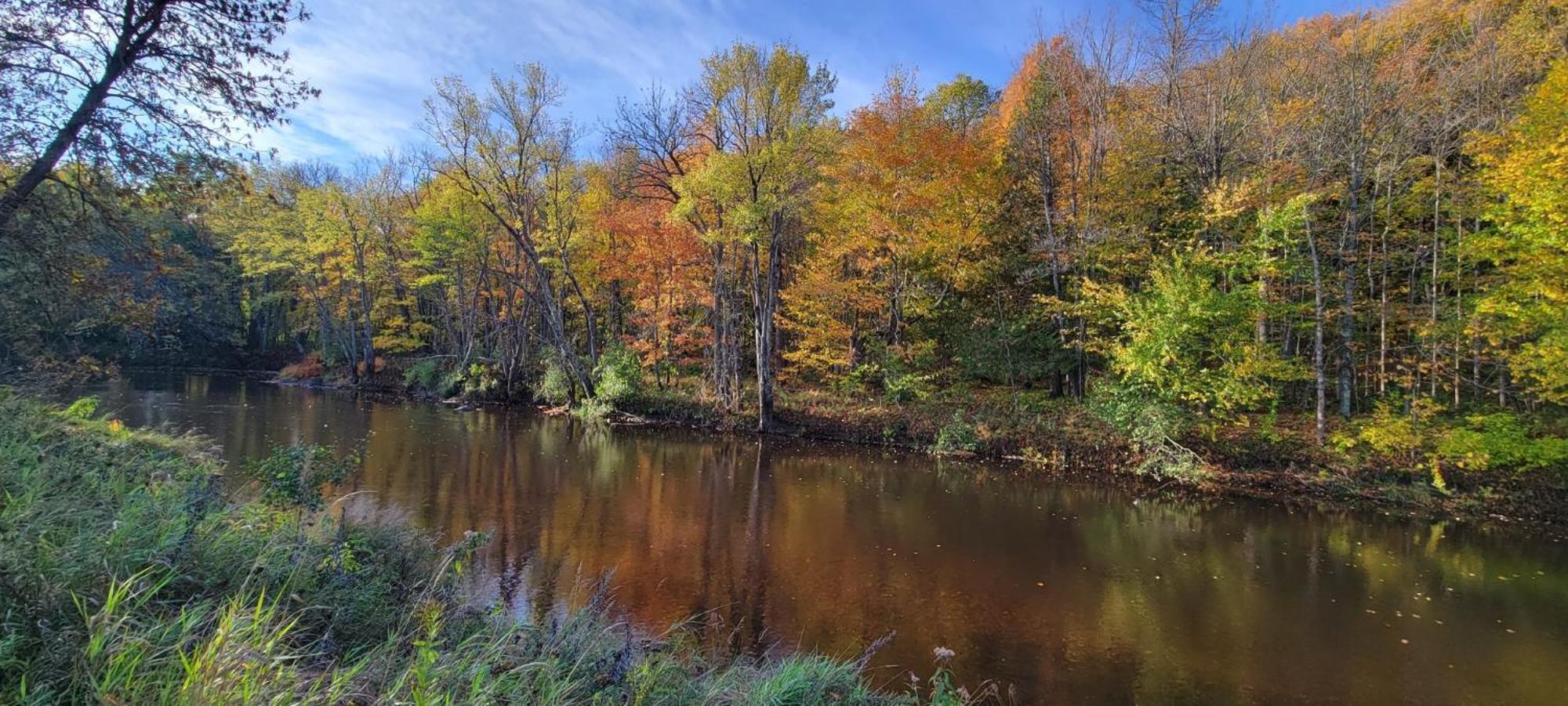 Black River Crossing Bed & Breakfast Bessemer Екстериор снимка